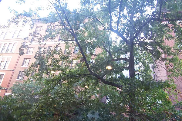 Rented by Susan Finkel, LREB | media 23