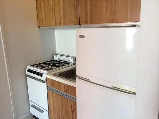 Rented by Manhattan Flats | media 30