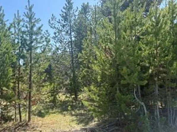 21 Grand Fir, Donnelly, ID 83615