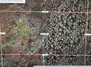 Holopaw Groves Rd, Saint cloud, FL 34773