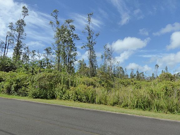 3rd image of Anthurium Dr Lot 63