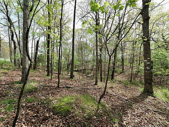 3rd image of LOT-23B Hummingbird Rd