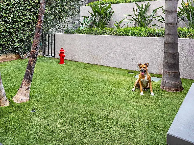 Apartment community off-leash dog park at Griffis Pine Ave in Long Beach, California.