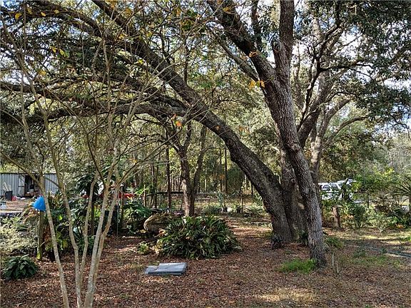 4th image of 408 E Sunbeam Ln