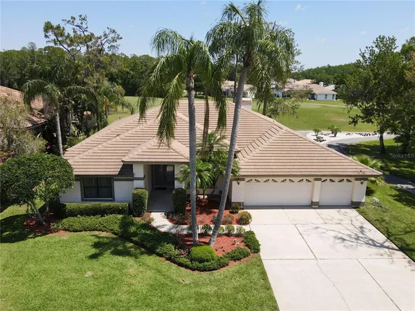 1311 Fallsmeade Ct, Oldsmar, FL 34677