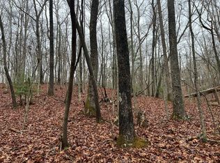 2.84 Heaven Scent Rd, Morganton, GA 30560