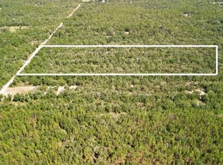  NW 55th St, Bell, FL 32619