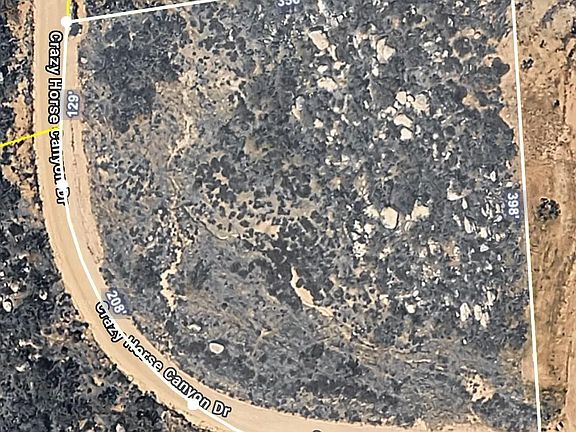 5th image of LOT 778 Crazy Horse Cyn #778