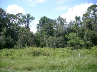1343 Congo Ct LOT 10, Kissimmee, FL 34759
