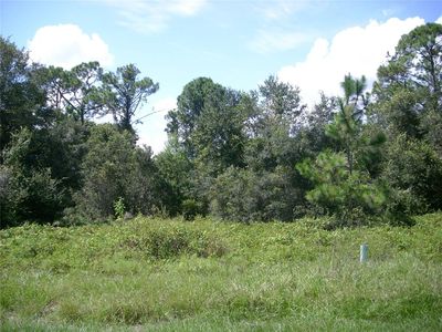 1343 Congo Ct Lot 10, Kissimmee, FL, 34759