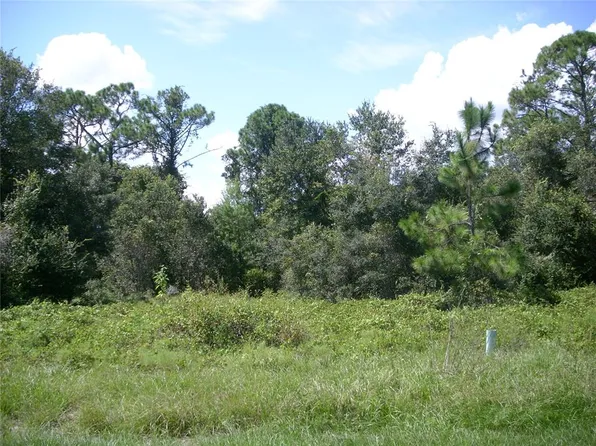 1343 Congo Ct Lot 10, Kissimmee, FL 34759