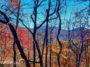 276 Sherin Dr, Rabun Gap, GA 30568
