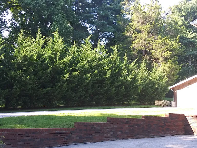 646 Greenwood Dr — Photo 13