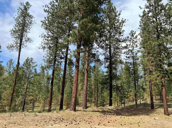 Junco Way, Kettle Falls, WA 99141