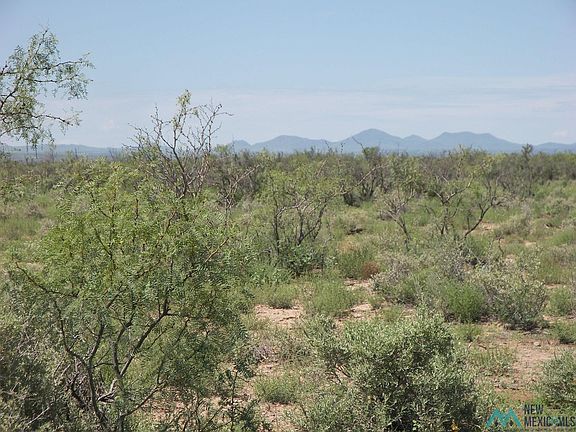 2nd image of Camino Dos Rd SW