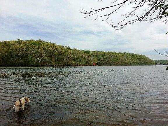 Dry Branch Cove
