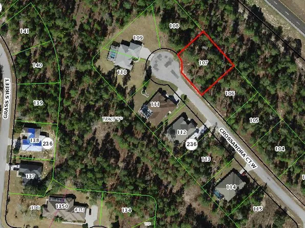 11 Crossandra Court W, Homosassa, FL 34446