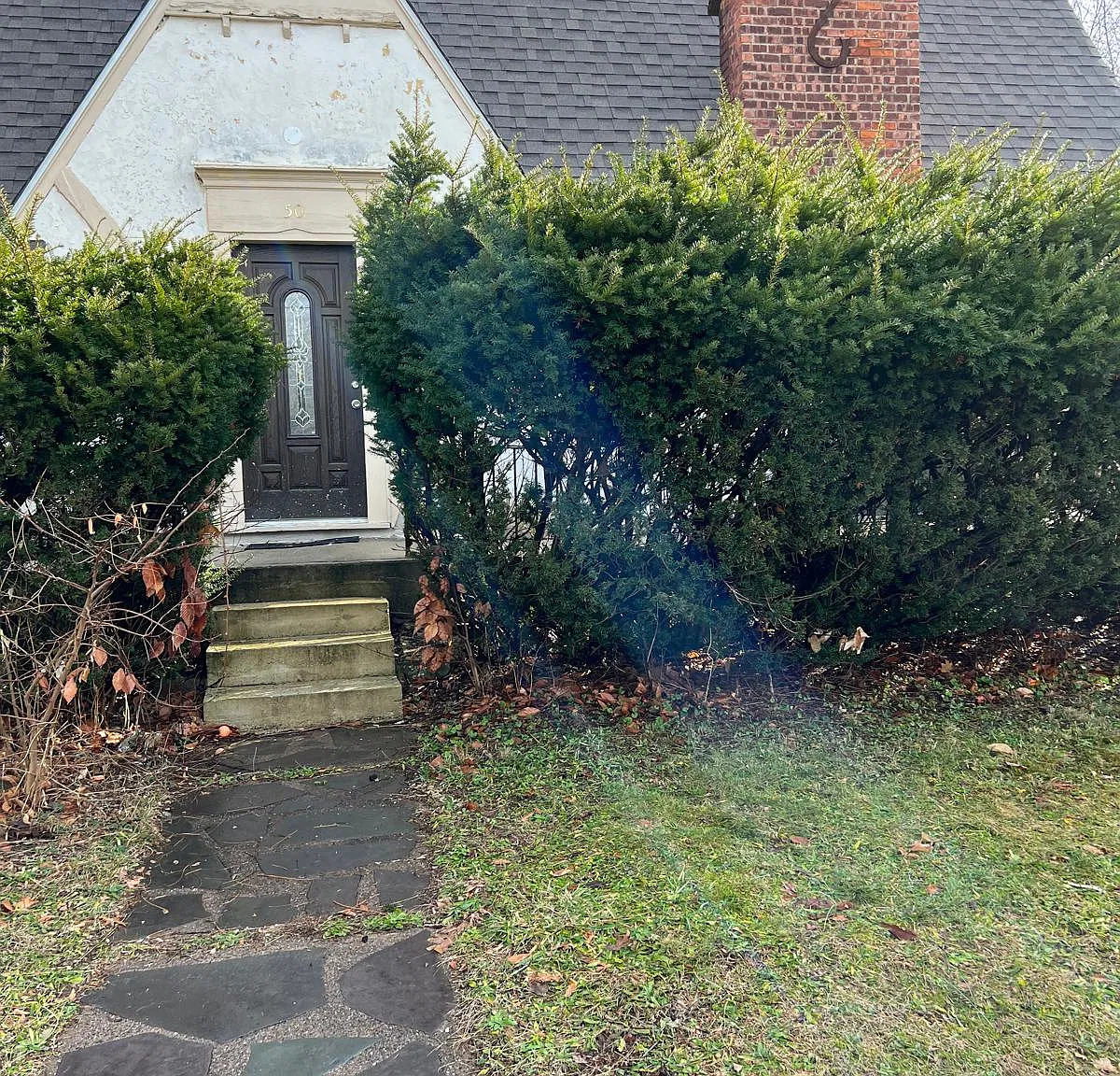3 bed, 2000 sqft, $1,800 — Photo 1