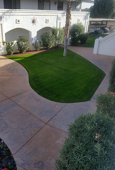 Desert Oasis — Photo 9