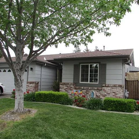 7216 Sunbreeze Ln photo 1