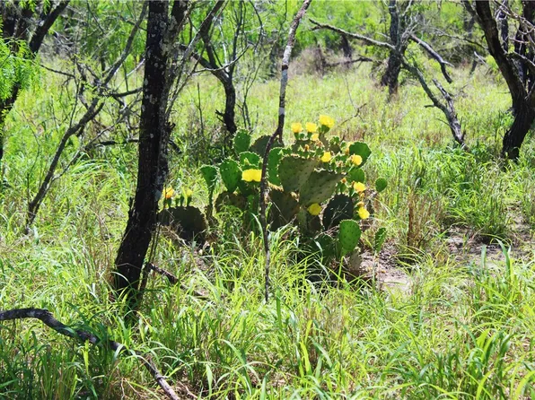 0 N County Road 1026, Kingsville, TX 78363