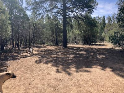 10267 State Highway 337, Tijeras, NM, 87059