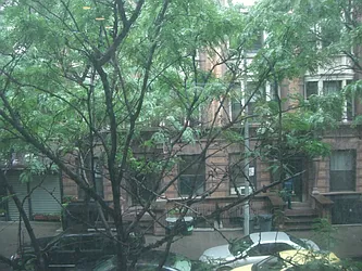 Rented by Pine Management, Inc.