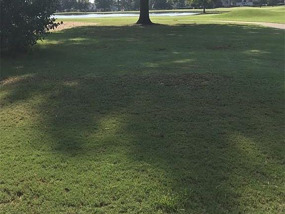 2nd image of 340 Towne Lake Dr