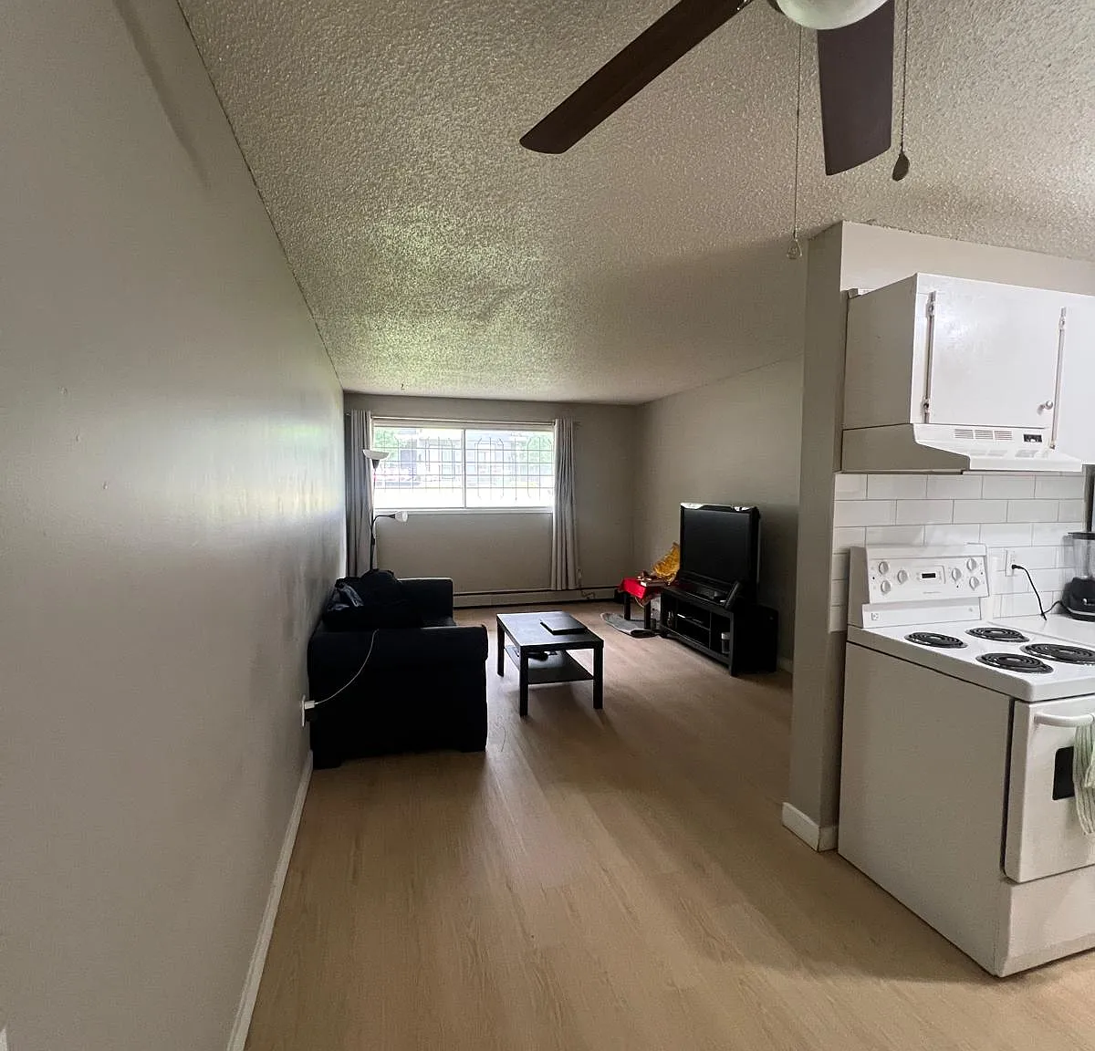 1 bed, $1,037 — Photo 4