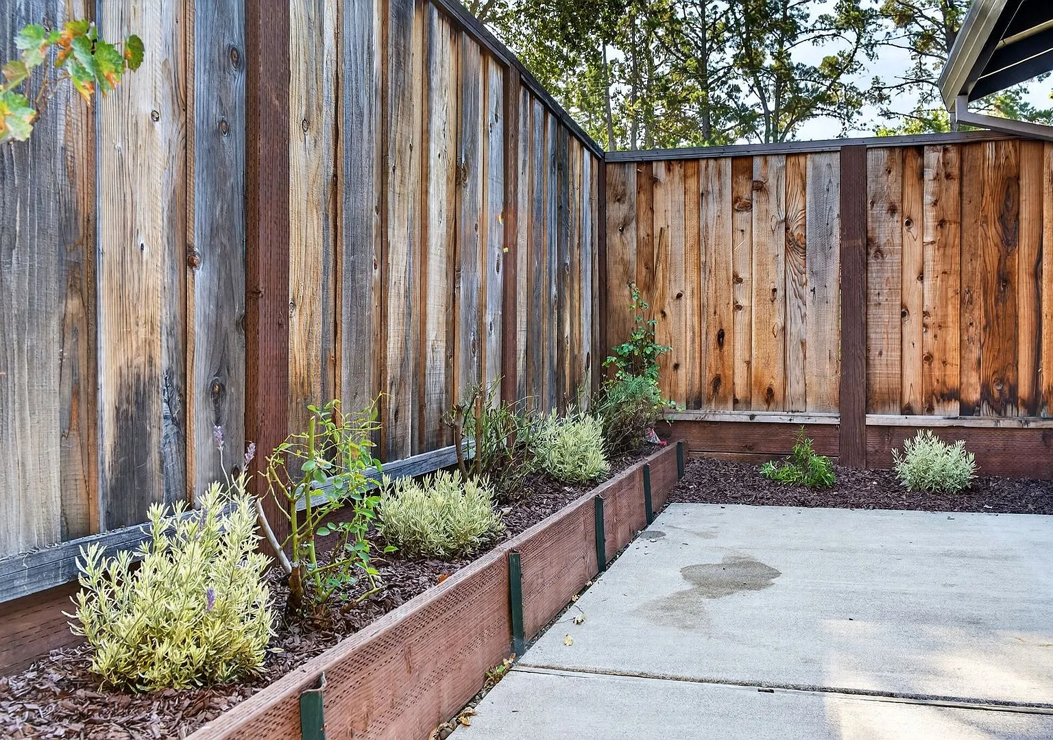 Walnut Creek 1br Adu | All Utilities Included + Private Patio, Parking & W/D — Photo 4