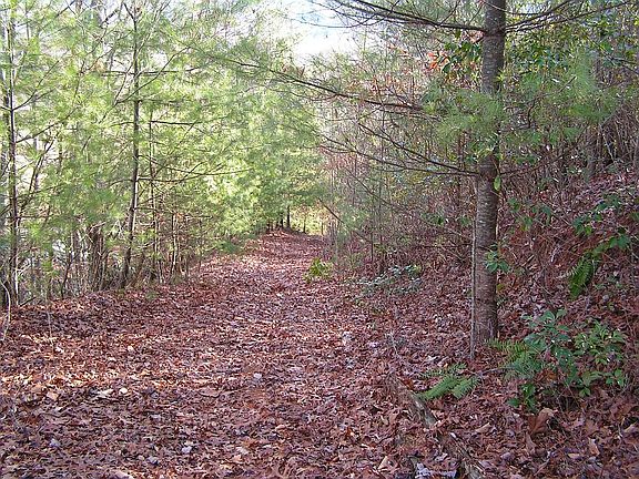 Just one of the trails available