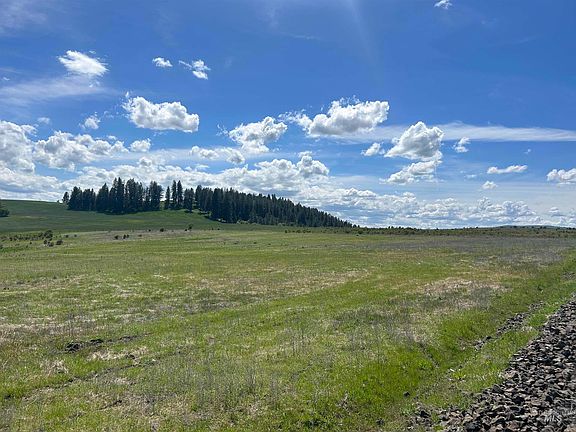 2nd image of Mule Deer Dr