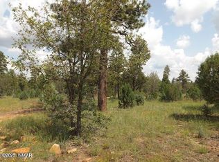 2697 Lost Way, Overgaard, AZ 85933