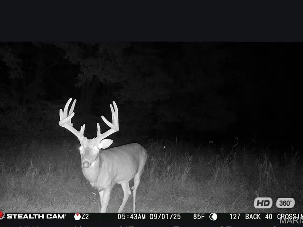 67/AC Circle Acres, Marthasville, MO 63357