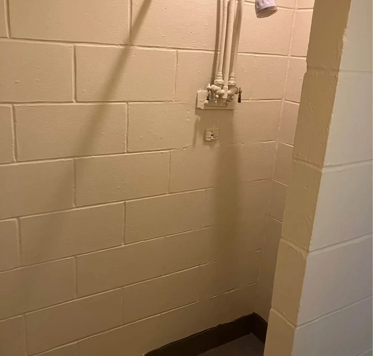 1 bed, $800 — Photo 4
