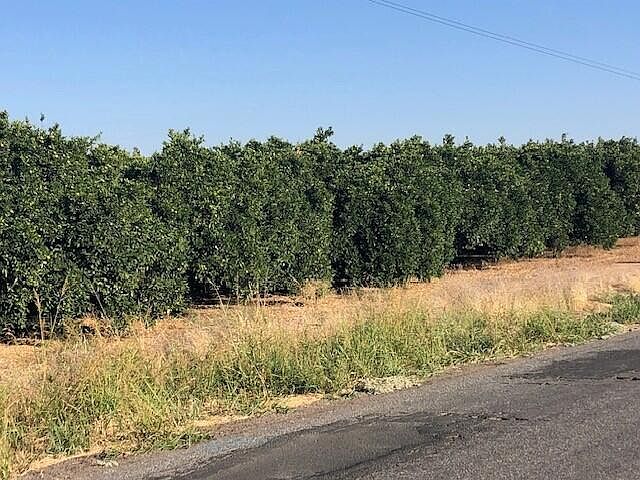 2nd image of Road 256