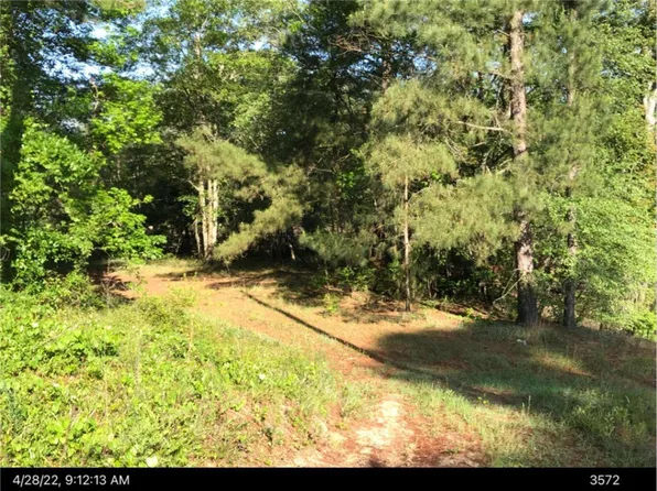 0 Hendrix Bridge Rd, Claxton, GA 30417