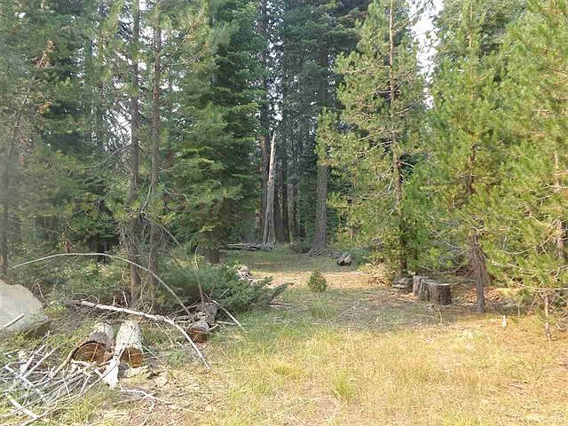 2nd image of 11025 Chester Warner Valley Rd