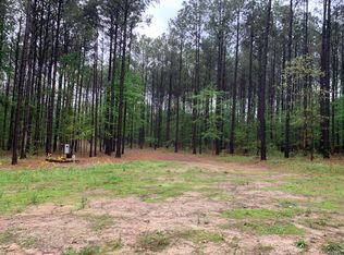 1417 Davidson Rd, Diana, TX 75640