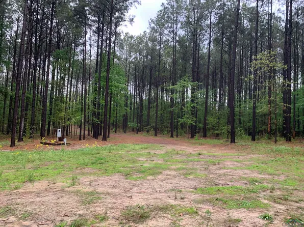 1417 Davidson Rd, Diana, TX 75640