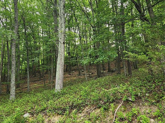 3rd image of Seneca Rd
