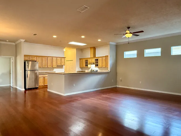 Living room and kitchen