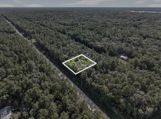 0 Usina Ave, Interlachen, FL 32148