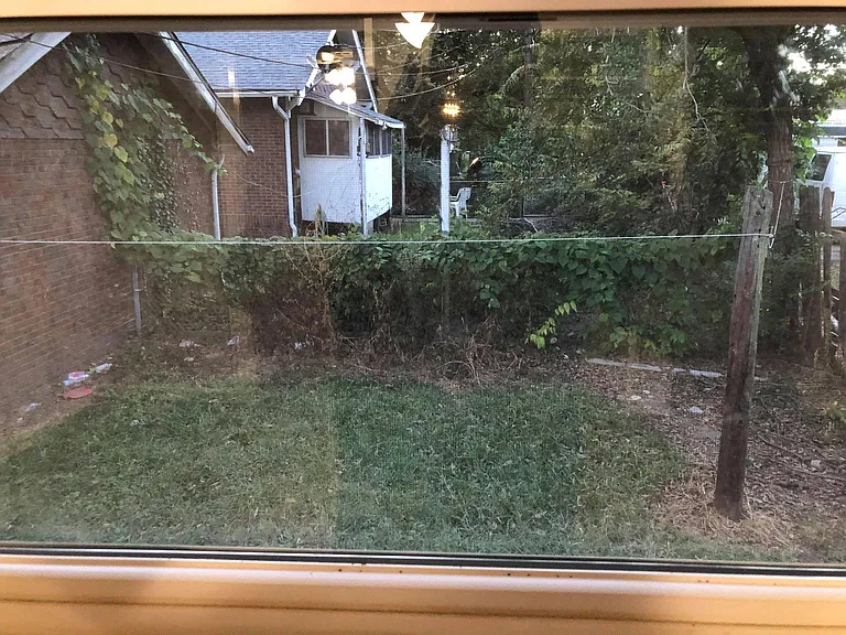 back yard