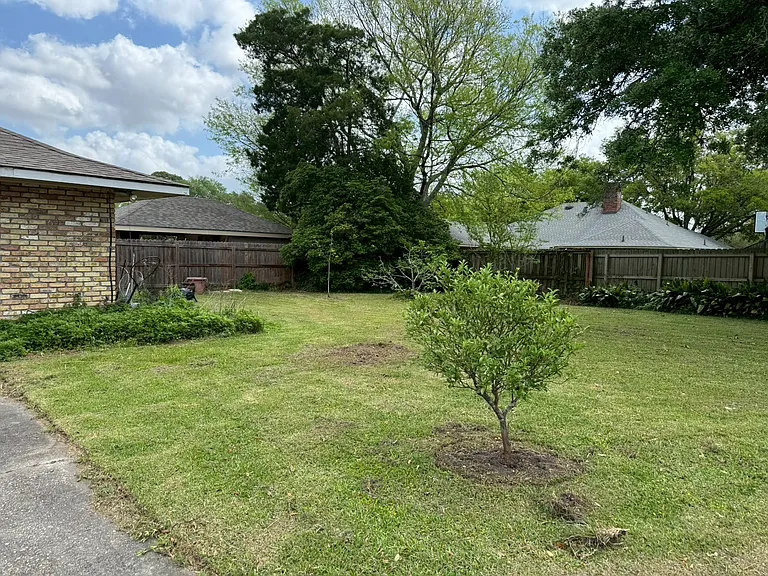 __ Backyard
"Beautifully open backyard with lush greenery and mature plants _ a relaxing spot to enjoy fresh air and sunshine."