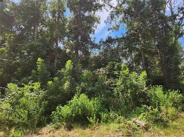 LOT 27 Mayhaw Ln, Plantersville, TX 77363