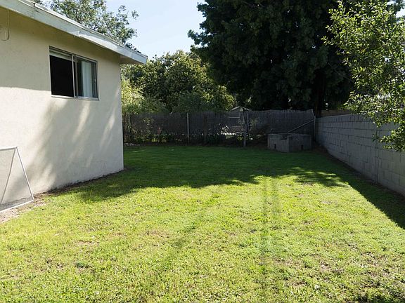 Backyard pic 2