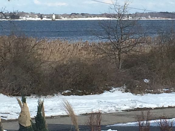 Walk to Long meadow Beach