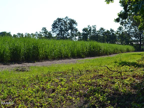 2nd image of 5818 Freetown Rd