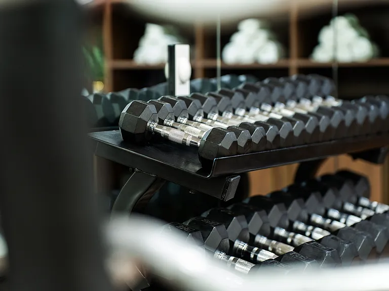 Power & Light Free Weights